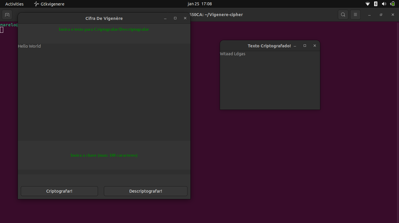 Image of the Vigenere Project: the image shows the program running in the linux terminal